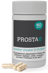 Prosta6